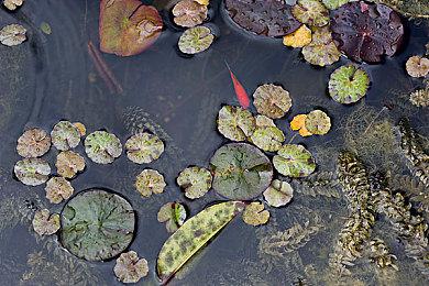 《仙剑世界》亏损严重 中手游最大化回收研发投入